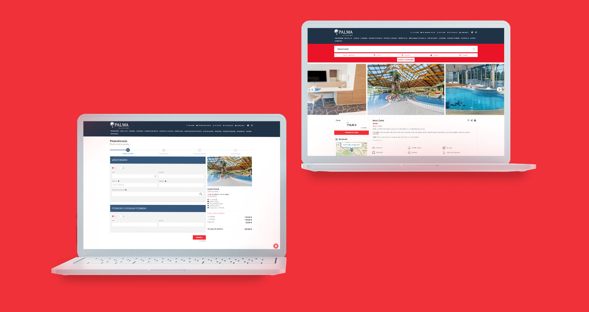 Palma search engine on laptop